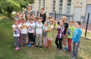 SONY DSC