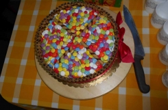 DSCN4253