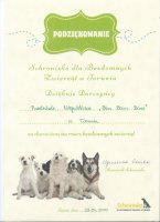 20210325_schr